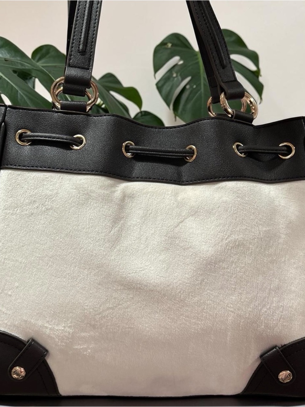Juicy Couture Scottie Daydreamer - Picture 2 of 3